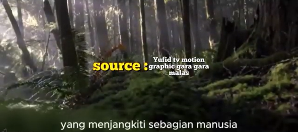 motion graphic